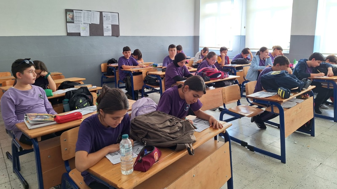 Destekleme ve Yetiştirme Kurslarımız Başladı